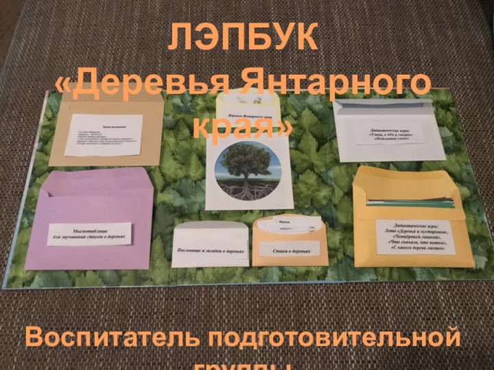 ЛЭПБУК«Деревья Янтарного края»Воспитатель подготовительной группы МАДОУ ЦРР №76 г. КалининградаДанова Е.В.