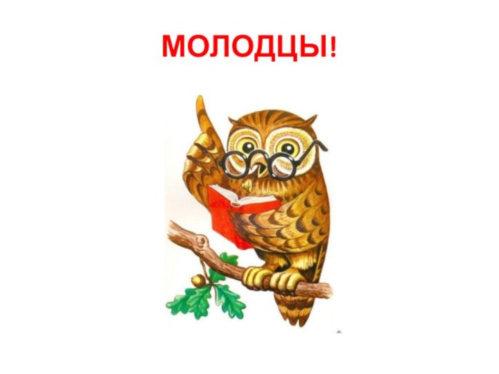 МОЛОДЦЫ!