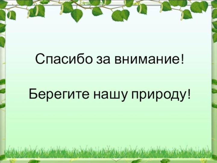 Спасибо за внимание!Берегите нашу природу!