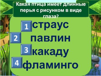 Презентация тест по теме Зоопарк 1 класс УМК Перспектива тест по окружающему миру (1 класс)