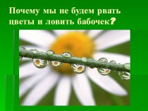 Презентация к уроку по Окружающему миру Почему мы не будем рвать цветы и ловить бабочек? 1 кл. УМК Школа России презентация к уроку по окружающему миру (1 класс)