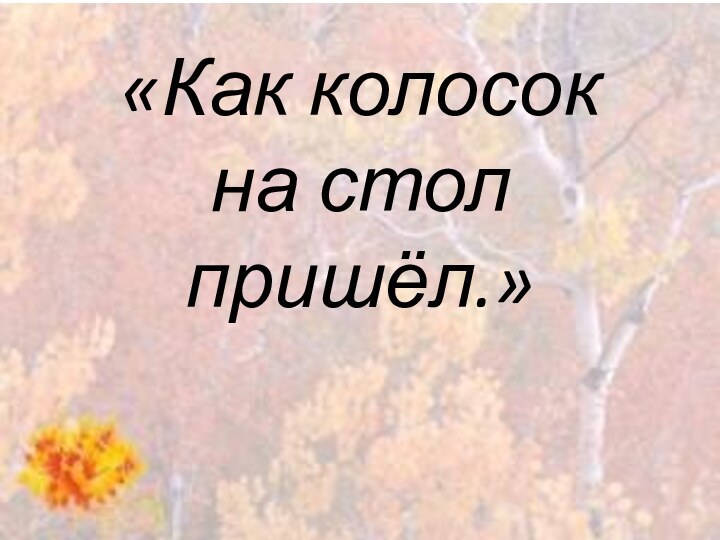 «Как колосок  на стол  пришёл.»