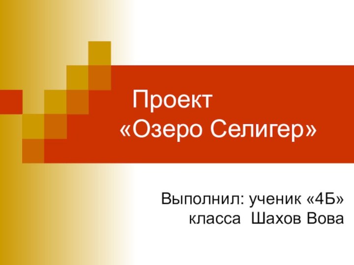 Проект  «Озеро Селигер» Выполнил: ученик «4Б» класса Шахов Вова