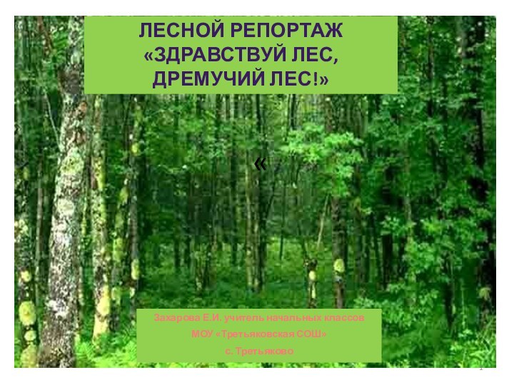 «Лесной репортаж«Здравствуй лес, дремучий лес!»Захарова Е.И. учитель начальных классов