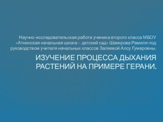 Изучение процесса дыхания растений на примере герани. презентация к уроку по окружающему миру (2 класс) по теме