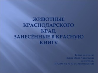 Презентация Животные Краснодарского края презентация по окружающему миру