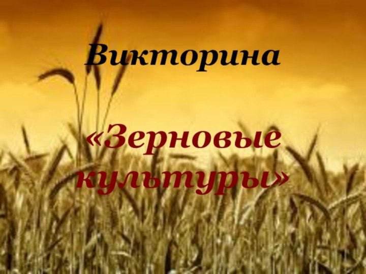 Викторина«Зерновые культуры»