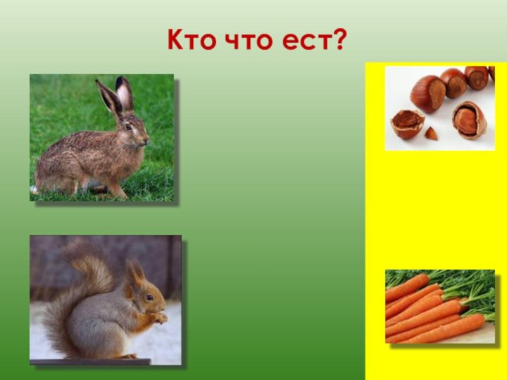 Кто что ест?