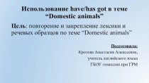 Тема: использование have/has got в теме “Domestic animals” презентация к уроку по иностранному языку (3 класс)