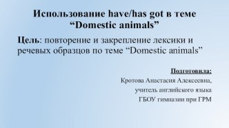 Тема: использование have/has got в теме “Domestic animals” презентация к уроку по иностранному языку (3 класс)