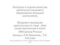 Входная и выходная диагностика по теме : Имя существительное презентация к уроку по русскому языку (4 класс)