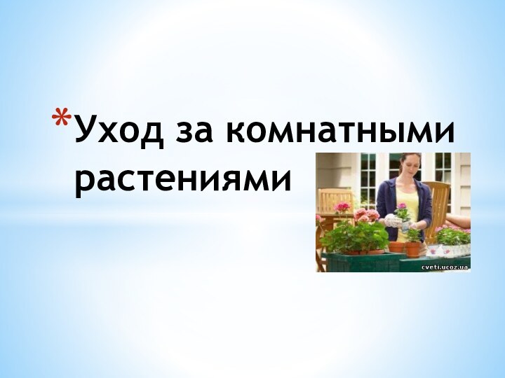 Уход за комнатными  растениями