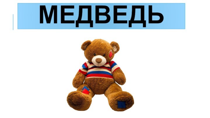 Медведь