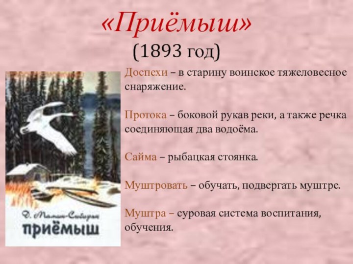 «Приёмыш» (1893 год)Доспехи – в старину воинское тяжеловесное снаряжение.Протока – боковой рукав