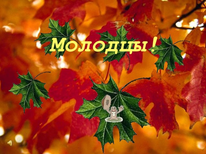 Молодцы!