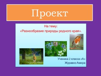 Проект На тему: Разнообразие природы родного края. презентация урока для интерактивной доски по окружающему миру (2 класс)