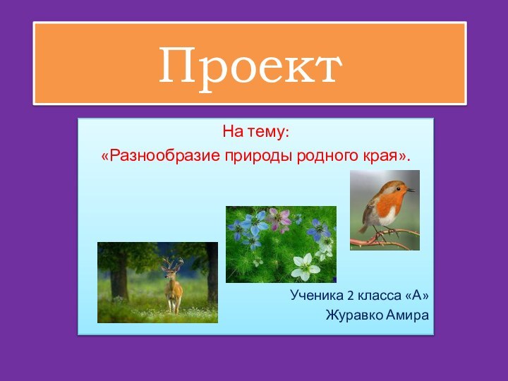 ПроектНа тему:«Разнообразие природы родного края».Ученика 2 класса «А» Журавко Амира