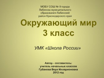 Окружающий мир, 3 класс