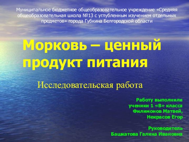 Муниципальное бюджетное общеобразовательное учреждение «Средняя общеобразовательная школа №13 с углубленным изучением отдельных