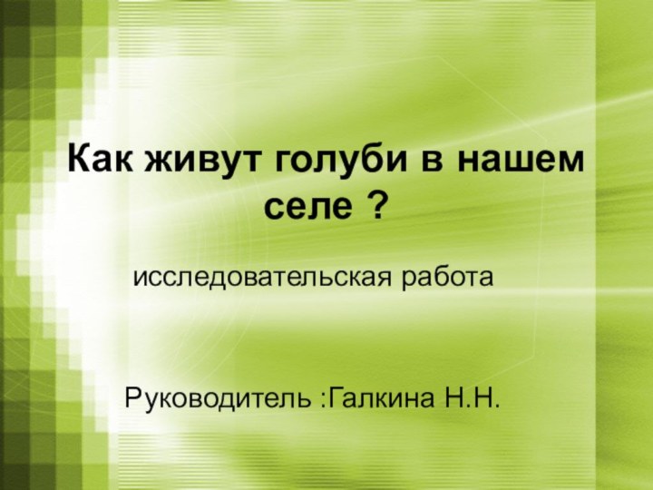 Как живут голуби в нашем селе ? исследовательская работаРуководитель :Галкина Н.Н.