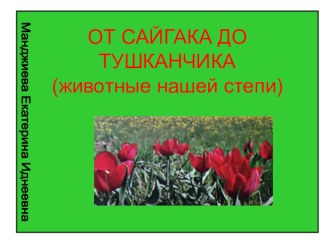 ПРЕЗЕНТАЦИЯ От сайгака до тушканчика презентация к уроку по окружающему миру (2 класс) по теме