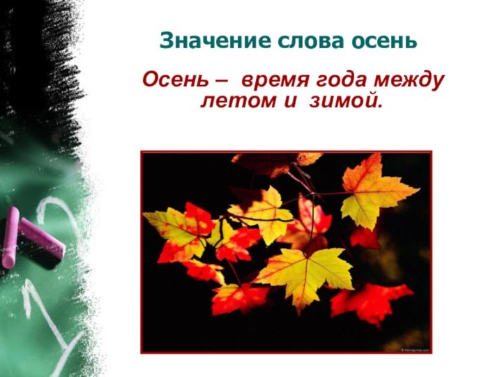 Значение слова осень Осень – время года между летом и зимой.