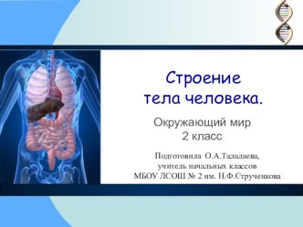 Презентация к уроку окружающего мира Строение тела человека 2 класс презентация к уроку по окружающему миру (2 класс)