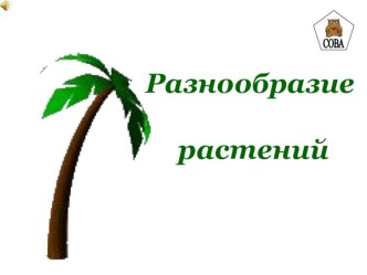 Окружающий мир 1 класс Разнообразие растений презентация к уроку по окружающему миру (1 класс) по теме