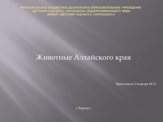 презентация Животные Алтайского края презентация к уроку по окружающему миру (старшая группа)