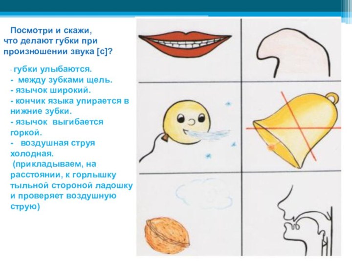 Посмотри и скажи, что делают губки при произношении звука [с]?  -