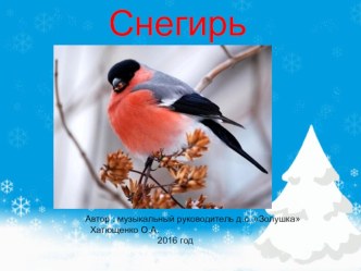 Презентация Снегирь. презентация к уроку по окружающему миру (старшая группа)