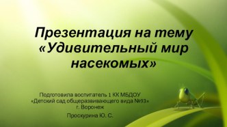 Удивительный мир насекомых презентация к уроку по окружающему миру (старшая группа)