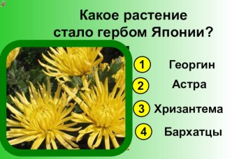 Презентация тест по теме Цветы и поверья тест по окружающему миру (2 класс) по теме