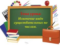 Изменение имён существительных по числам презентация к уроку по русскому языку (2 класс)