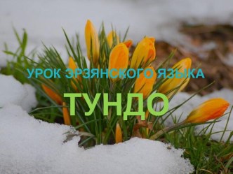 Презентация урока эрзянского языка Тундо презентация к уроку