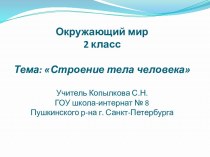 Презентация Строение тела человека к конспекту урока по окружающему миру во 2 классе по теме Строение тела человека презентация урока для интерактивной доски (окружающий мир, 2 класс) по теме