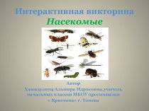 Интерактивная викторина для начальной школы по теме Насекомые. презентация урока для интерактивной доски по окружающему миру (2 класс)