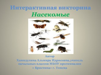 Интерактивная викторина для начальной школы по теме Насекомые. презентация урока для интерактивной доски по окружающему миру (2 класс)