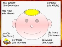 Презентация по немецкому языку для 4 класса. Введение лексики по теме Внешность презентация к уроку по иностранному языку (4 класс)