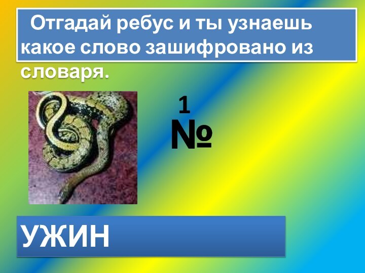 Отгадай ребус и ты узнаешь какое слово зашифровано из словаря.№1УЖИН