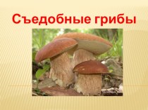 Съедобные грибы учебно-методическое пособие по окружающему миру по теме