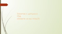 Занятие с детьми 1-2 класса в ГПД. Презентация Знаешь ли ты птиц? презентация к уроку (1 класс)