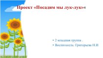 Проект Мы посадим лук-лук проект по окружающему миру (младшая группа)