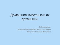 Домашние животные презентация занятия для интерактивной доски по окружающему миру (младшая группа)