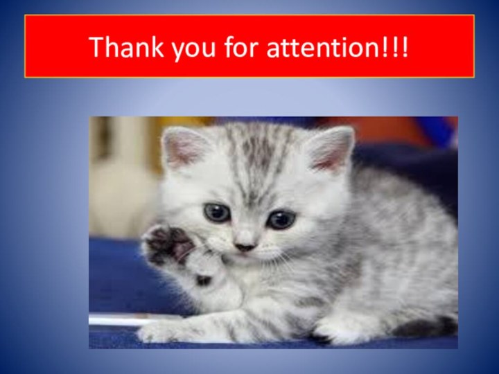 Thank you for attention!!!