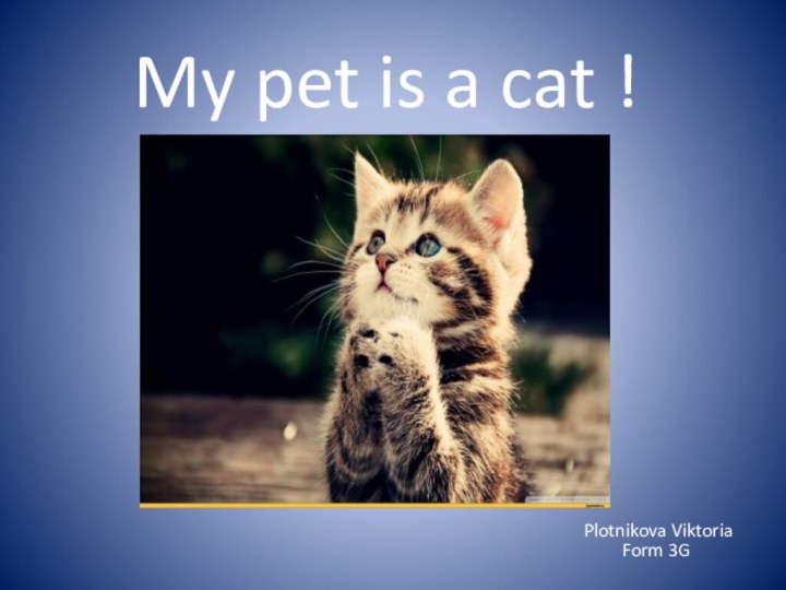     My pet is a cat !