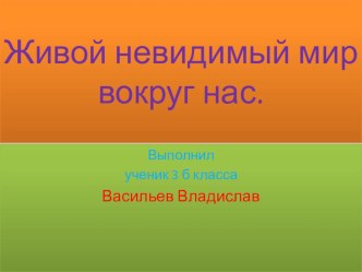 Живой и невидимый мир вокруг нас. Творческая работа учащегося Васильева Владислава творческая работа учащегося по окружающему миру (2 класс) по теме