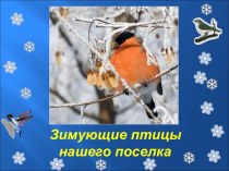 Птицы зимой презентация к уроку по окружающему миру (1, 2, 3, 4 класс)