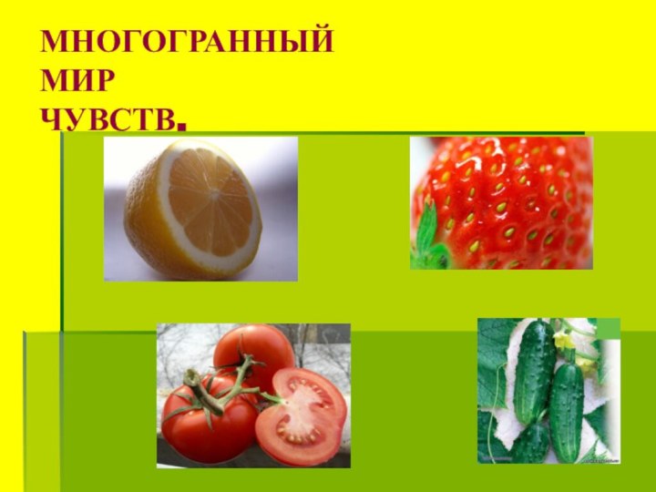 МНОГОГРАННЫЙ МИР ЧУВСТВ.