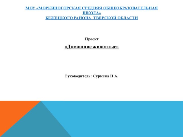 МОУ «Моркиногорская средняя общеобразовательная школа»  Бежецкого района Тверской областиПроект«Домашние животные»Руководитель: Суркина Н.А.